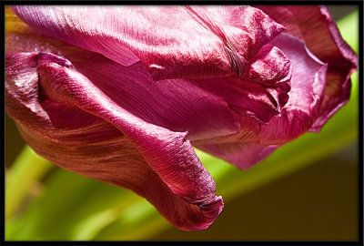 g1/61/817561/3/106456056.5PycCX0G.jpg