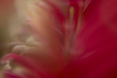 g1/61/817561/3/115875409.a9gz3pSa.jpg