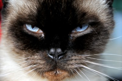 You talking to me ?