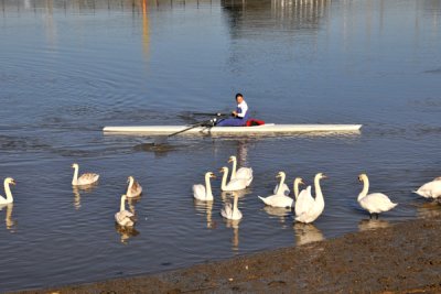 morning row