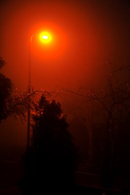 early morning fog