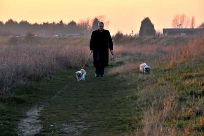 Chris & the dogs