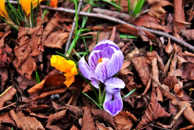 Spring is almost here