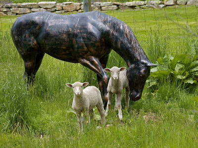 Horse and 2 lambs.JPG