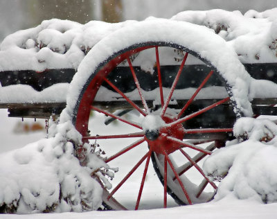    An old snow covered wagon. Sony  a100  Sigma 300mm 2.8 APO.