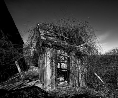 An old scary outhouse