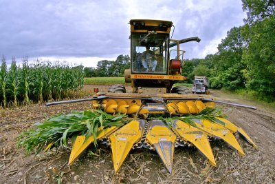 6 row corn chopper.