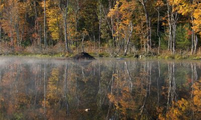 Autumn on Beaver Pond