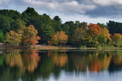 Autumn arrives  at carbuncle pond.