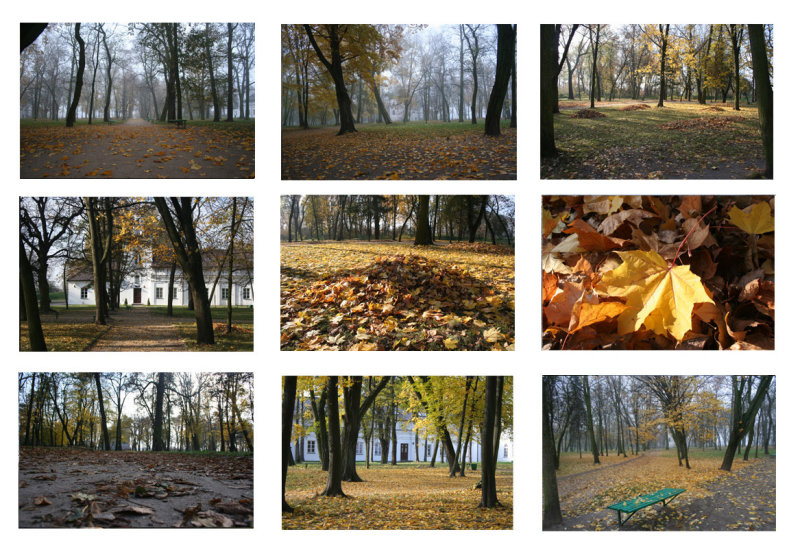 Miniatures - Autumn - Random photos