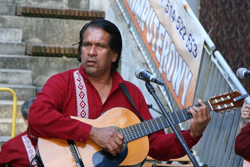 Guitarist