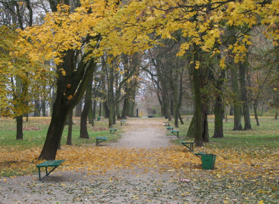 Autumn