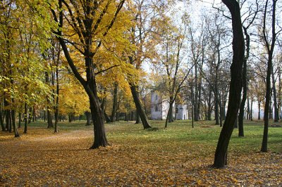IMG_9935
