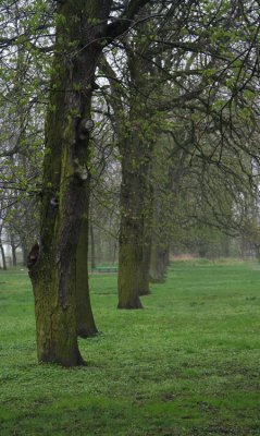 Spring