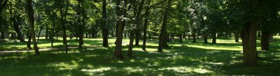 IMG_3008