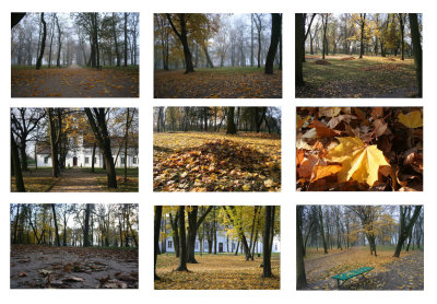 Miniatures - Autumn - Random photos