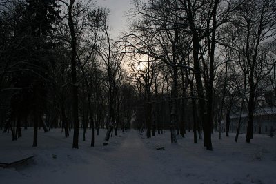 City Park in Winter Time
