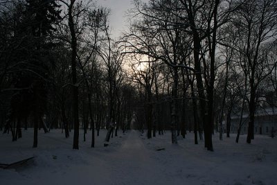 Winter Landscapes