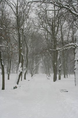 Winter in City Park