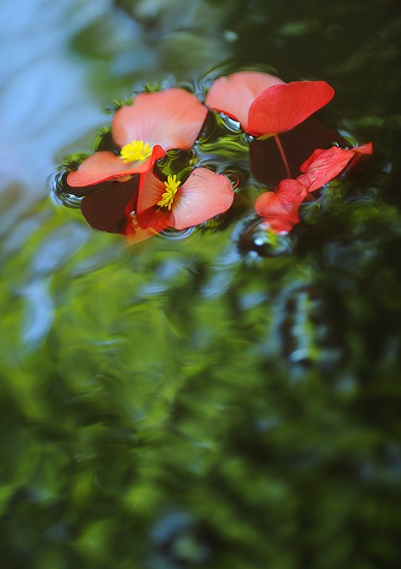 staying afloat