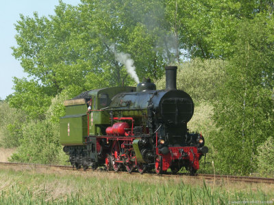 Wolsztyn 2009