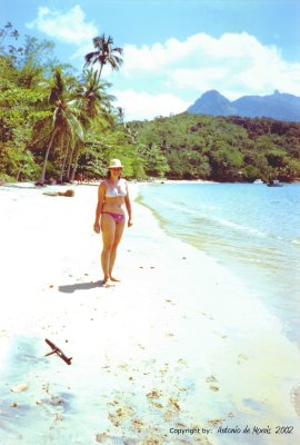 Mademoiselle Renate sur un île lointaine  Antonio DE MORAIS  2002.jpg
