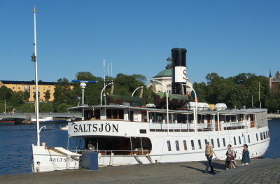 Saltsjn.jpg