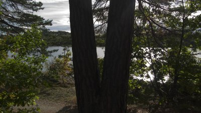 Brunnsviken1.jpg