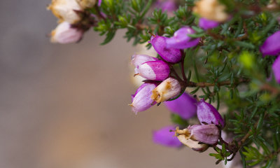 PICT8962.jpg