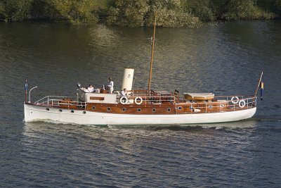 Atala.jpg