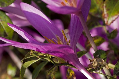 PICT0229.jpg