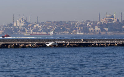 Bosporus1.jpg