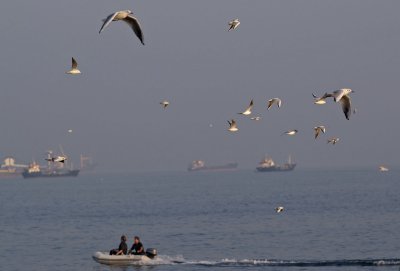 Marmara6.jpg