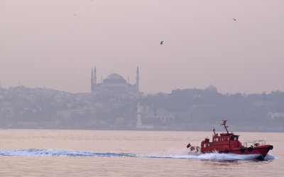 PICT0029.jpg