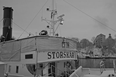 Storskr.jpg