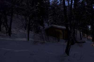 Moonlight1.jpg