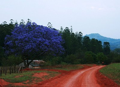 South Africa's landscapes