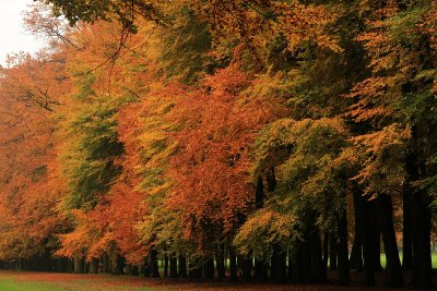 Autumn 2010