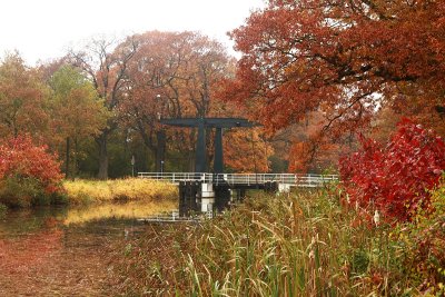 Autumn 2010