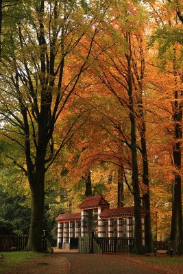 Autumn 2010