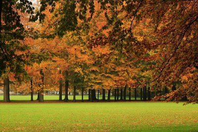 Autumn 2010