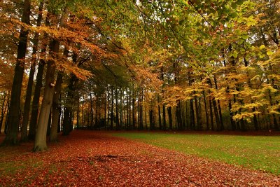Autumn 2010