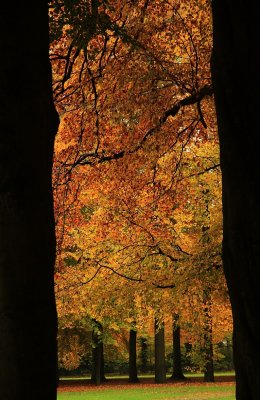 Autumn 2010