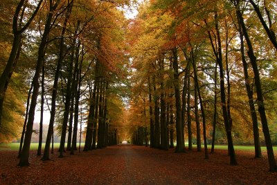Autumn 2010