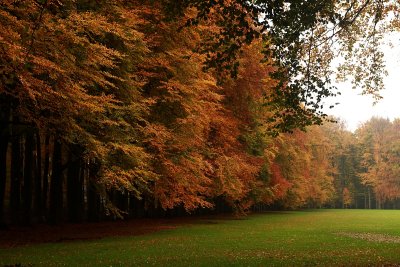 Autumn 2010