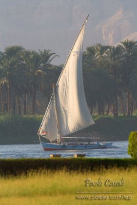 Egypt 2008