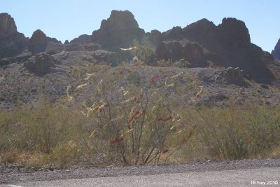 Arizona 002.jpg