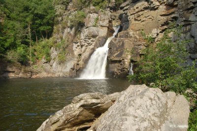 Carolina Waterfalls
