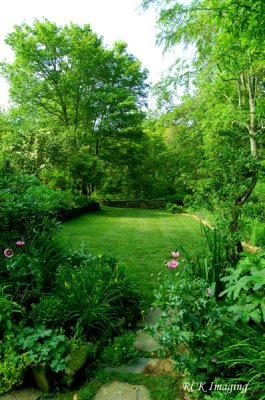 DSC_0270 JUN. 2008