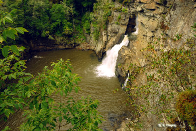 DSC_0061 copy.jpg